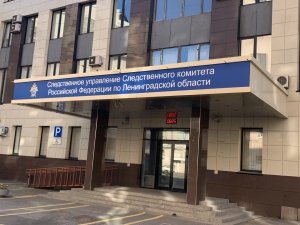 Главой ведомства поручено проверить обстоятельства получения телесных повреждений малолетним в Ленинградской области