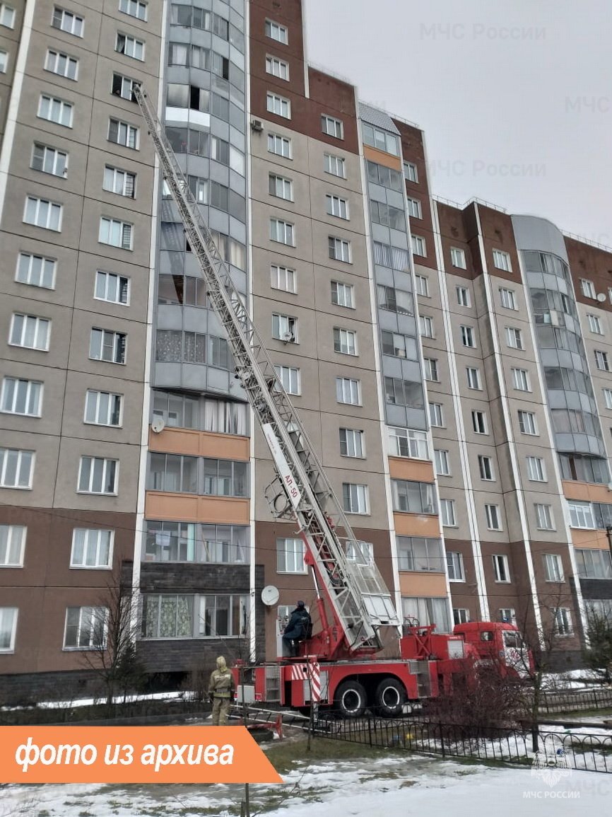 Пожарно-спасательное подразделение Ленинградской области ликвидировало пожар во Всеволожском районе