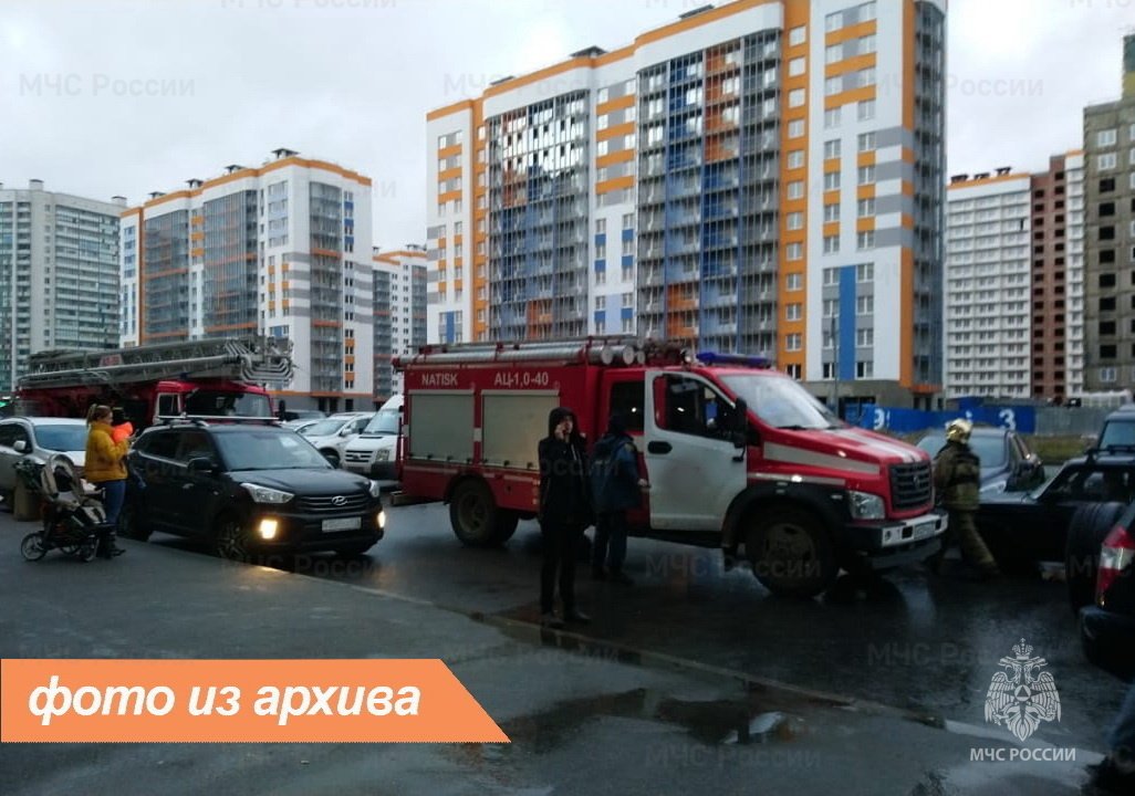 Пожарно-спасательное подразделение Ленинградской области ликвидировало пожар во Всеволожском районе
