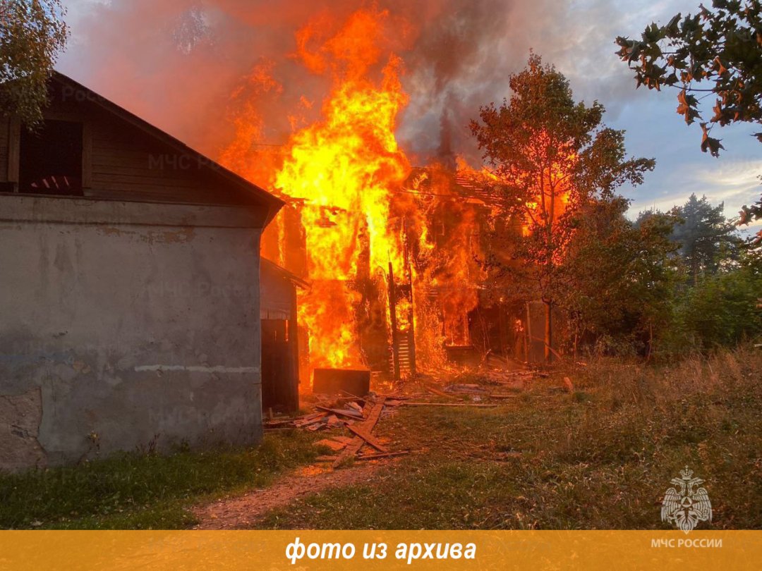 Пожарно-спасательные подразделения Ленинградской области ликвидировали пожар во Всеволожском районе