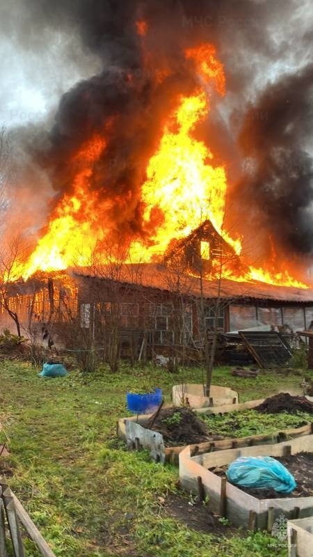 Пожарно-спасательные подразделения Ленинградской области ликвидировали пожар во Всеволожском районе